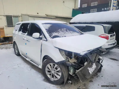 2019 Kia Carnival KNHMF37ABKS525968 VIN:KNHMF37ABKS525968