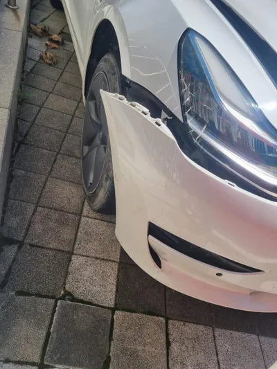 2019 Tesla Model 3 5YJ3E1EA4LF585502 VIN:5YJ3E1EA4LF585502
