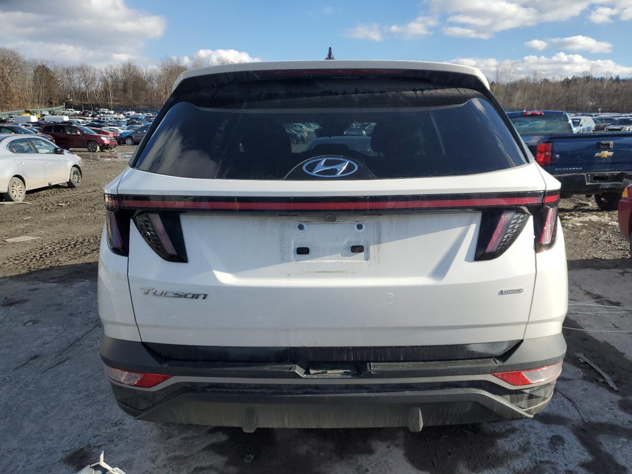 2023 HYUNDAI TUCSON SEL VIN:5NMJBCAE0PH251072