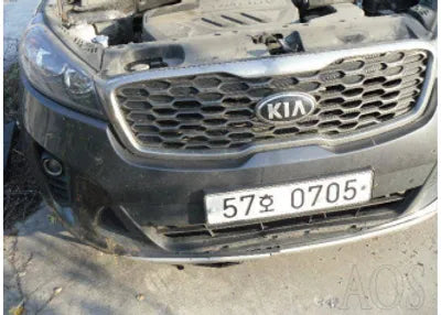 2020 Kia Sorento KNAPG81ADLA555656 VIN:KNAPG81ADLA555656