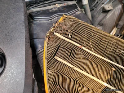 2019 Mercedes-Benz S 350 WDDUF2BB3KA434443 VIN:WDDUF2BB3KA434443