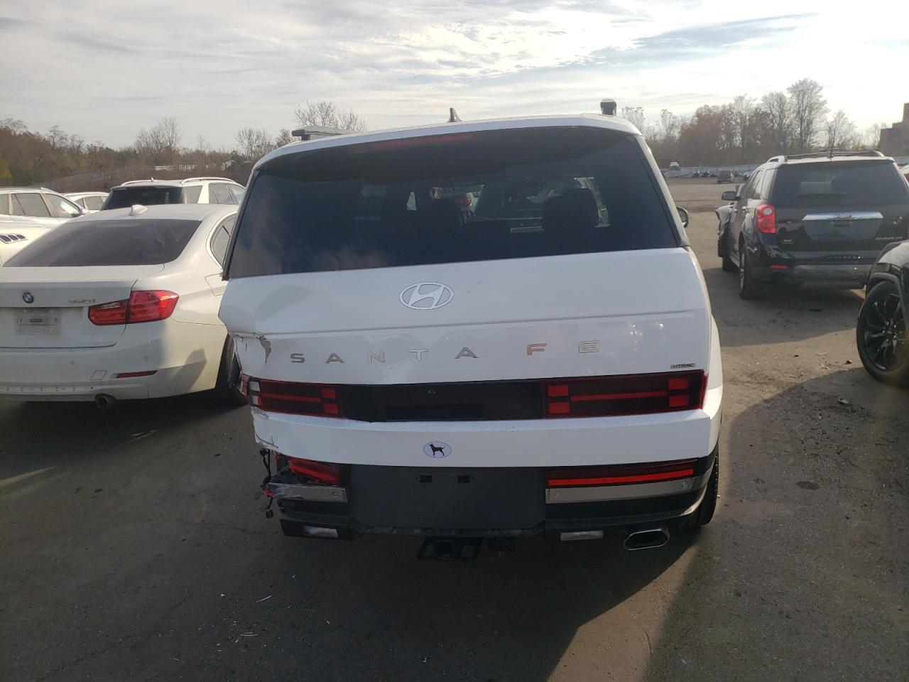 2024 HYUNDAI SANTA FE LIMITED VIN:5NMP4DGLXRH013233