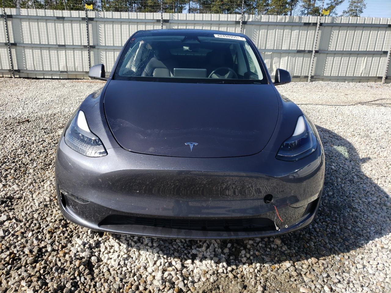 2023 TESLA MODEL Y  VIN:7SAYGDEE2PA187828
