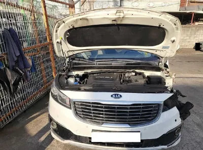 2017 Kia Carnival KNAMB81ABHS263732 VIN:KNAMB81ABHS263732