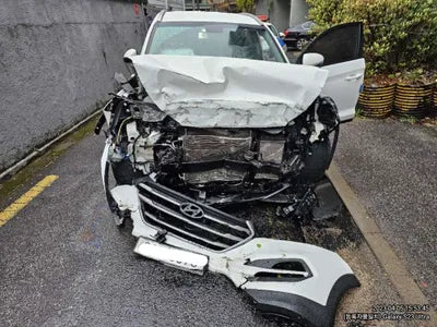 2016 Hyundai Tucson 192KMKMHJ381ADGU0 VIN:192KMKMHJ381ADGU0