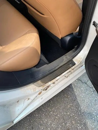 2017 Lexus IS 200t JTHBA5D24H5054137 VIN:JTHBA5D24H5054137