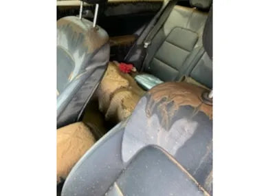 2019 Kia Sportage KNAPN813BKK662171 VIN:KNAPN813BKK662171