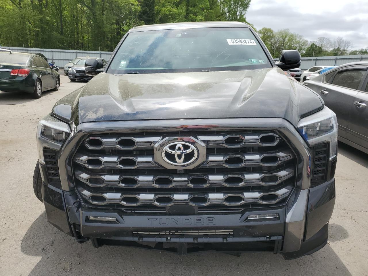 2023 TOYOTA TUNDRA CREWMAX PLATINUM VIN:5TFNA5DB2PX123571