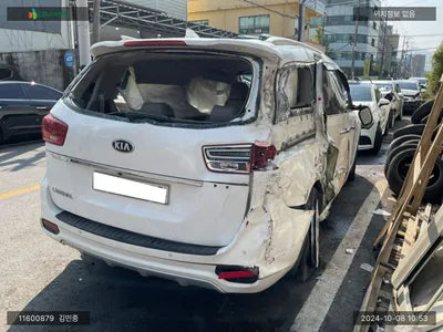 2020 Kia Carnival KNAMC81ABLS631262 VIN:KNAMC81ABLS631262