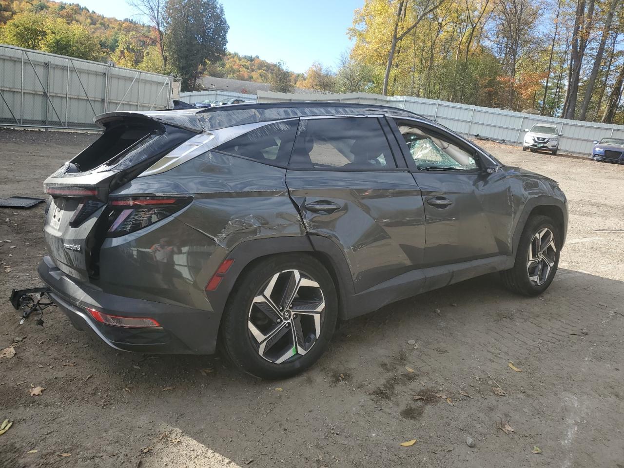 2024 HYUNDAI TUCSON LIMITED VIN:KM8JECD15RU150908