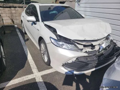 2019 Toyota Camry JTNB21HK5K3022667 VIN:JTNB21HK5K3022667