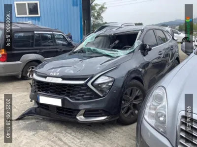2021 Kia Sportage KNAPW81CDNK015321 VIN:KNAPW81CDNK015321