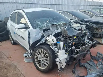 2019 Hyundai Kona KMHK3816GKU310946 VIN:KMHK3816GKU310946