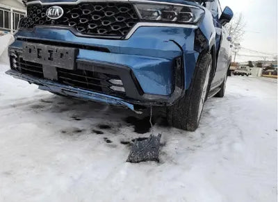 2021 Kia Sorento KNARK81BGMA022168 VIN:KNARK81BGMA022168