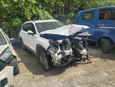 2021 Hyundai Santa FE KMHS381HGMU328111 VIN:KMHS381HGMU328111