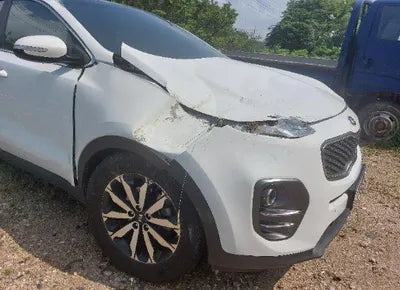 2018 Kia Sportage KNAP6815GJK410569 VIN:KNAP6815GJK410569