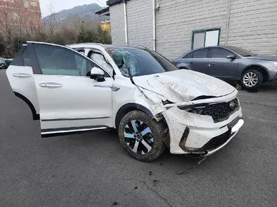 2021 Kia Sorento KNARF81FGMA070589 VIN:KNARF81FGMA070589