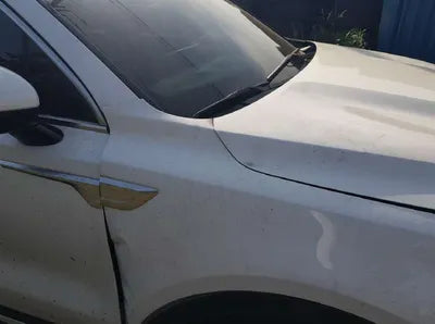 2021 Kia Sorento KNARK81BHNA133310 VIN:KNARK81BHNA133310