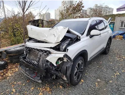 2019 Hyundai Santa FE KMHS381CDKU015039 VIN:KMHS381CDKU015039