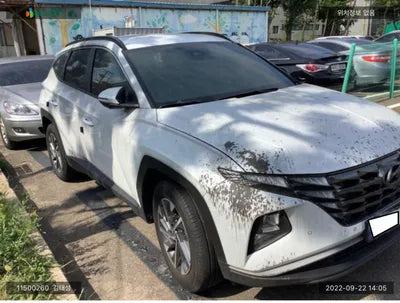 2021 Hyundai Tucson KMHJC81BHMU077290 VIN:KMHJC81BHMU077290