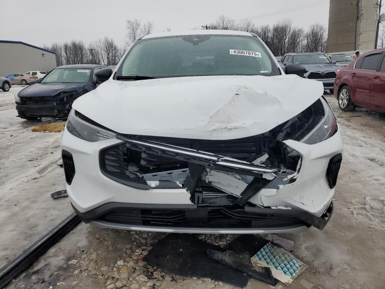 2024 FORD ESCAPE ACTIVE VIN:1FMCU9GN7RUA80101