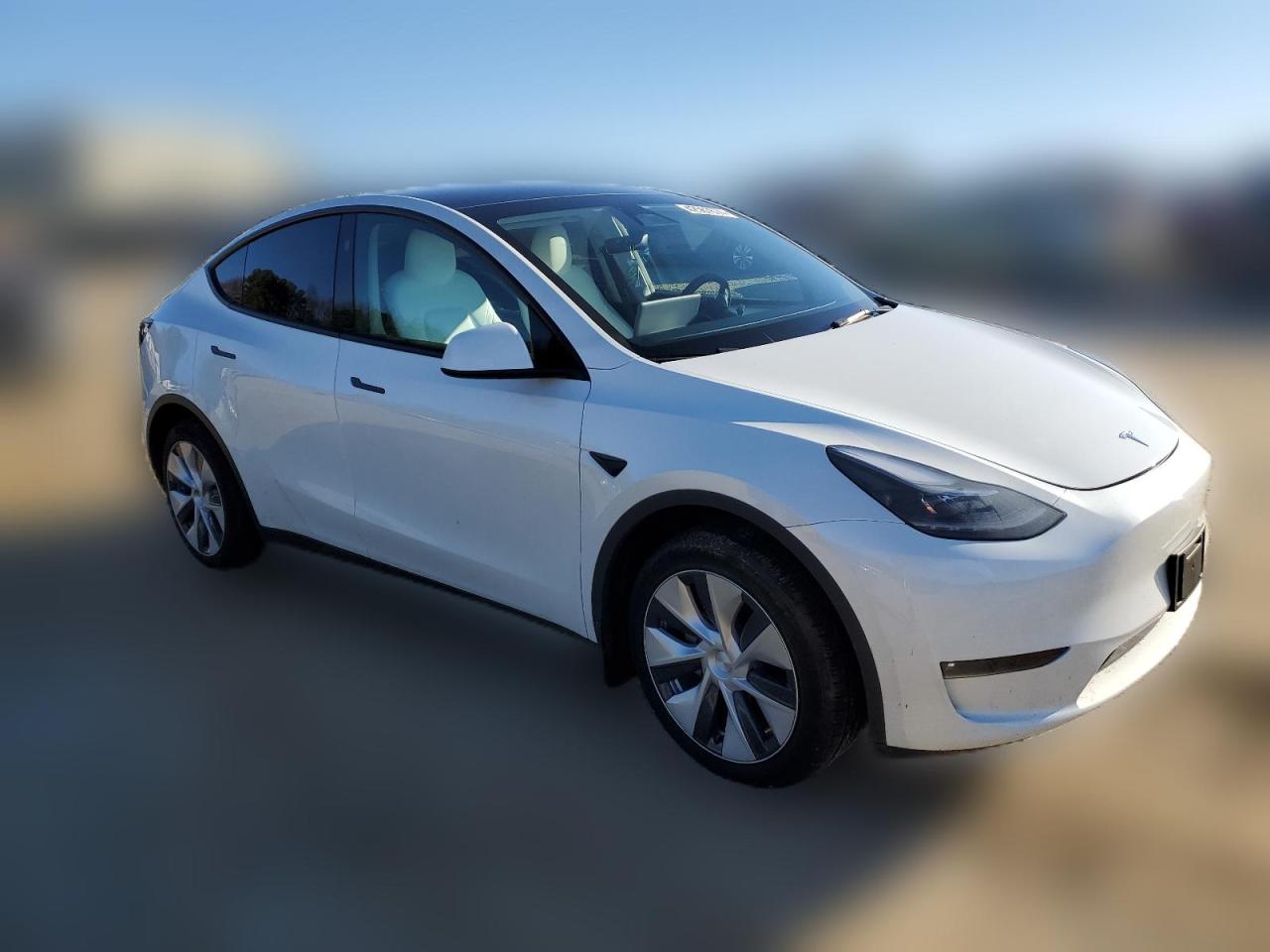 2023 TESLA MODEL Y  VIN:7SAYGDEE7PF810587