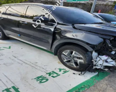 2022 Kia Sorento KNARL81GBNA091700 VIN:KNARL81GBNA091700