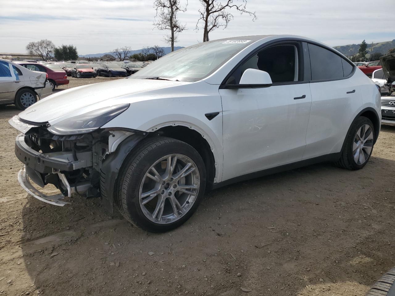 2023 TESLA MODEL Y  VIN:7SAYGDEE5PF746369