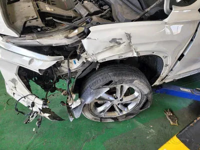 2019 Hyundai Santa FE KMHS581ABLU247207 VIN:KMHS581ABLU247207