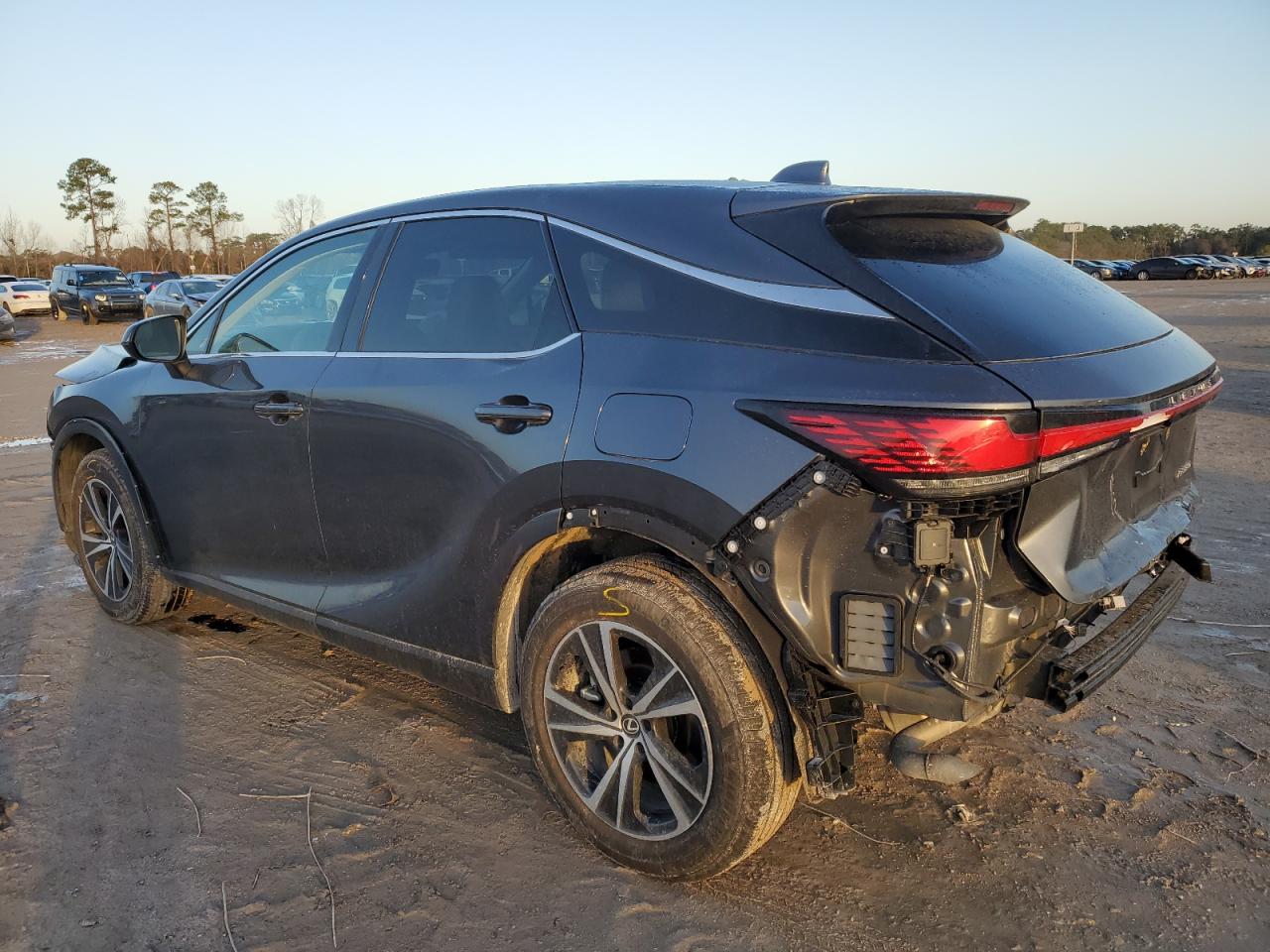 2024 LEXUS RX 350 BASE VIN:2T2BAMBA4RC024271