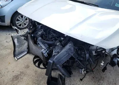 2019 Hyundai Santa FE KMHS381ADKU169994 VIN:KMHS381ADKU169994