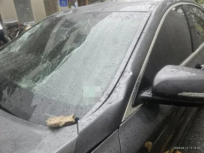 2019 Genesis G80 VIN: