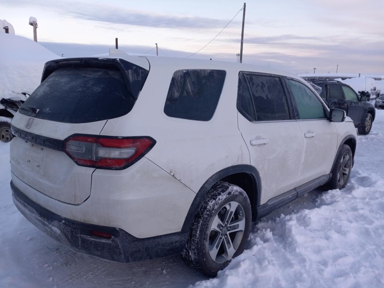 2023 HONDA PILOT EXL VIN:5FNYG1H44PB046373