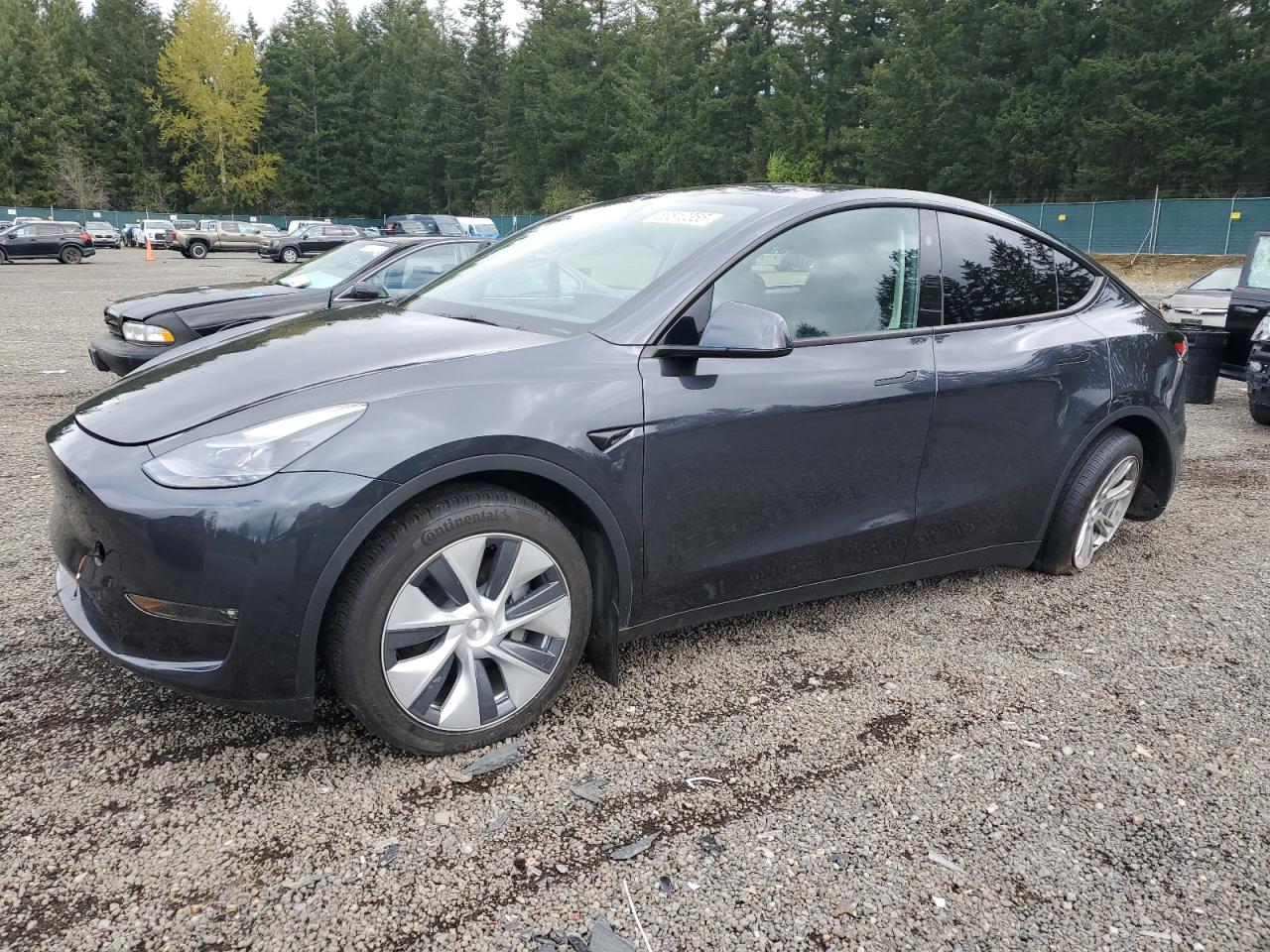 2024 TESLA MODEL Y  VIN:7SAYGDEE3RF072919