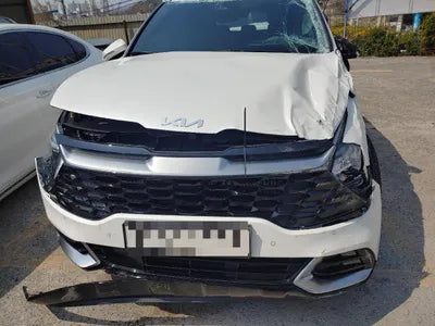 2021 Kia Sportage KNAPX81GBNK007455 VIN:KNAPX81GBNK007455