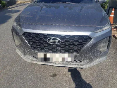 2019 Hyundai Santa FE VIN: