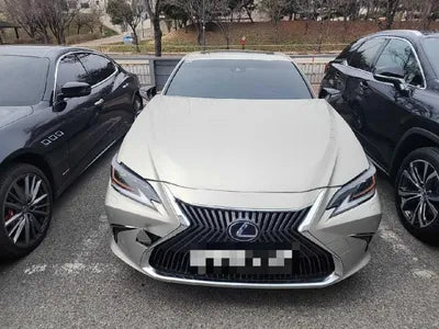 2019 Lexus ES 300 JTHB21B19K2046849 VIN:JTHB21B19K2046849