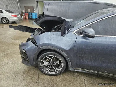 2019 Kia Sportage KNAPP81ABKK643821 VIN:KNAPP81ABKK643821