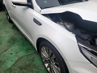 2019 Kia K5 KNAGW411BKA310136 VIN:KNAGW411BKA310136