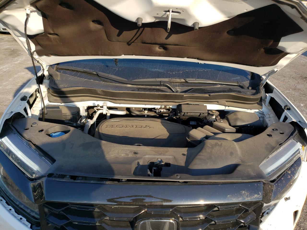 2023 HONDA PASSPORT ELITE VIN:5FNYF8H04PB006352