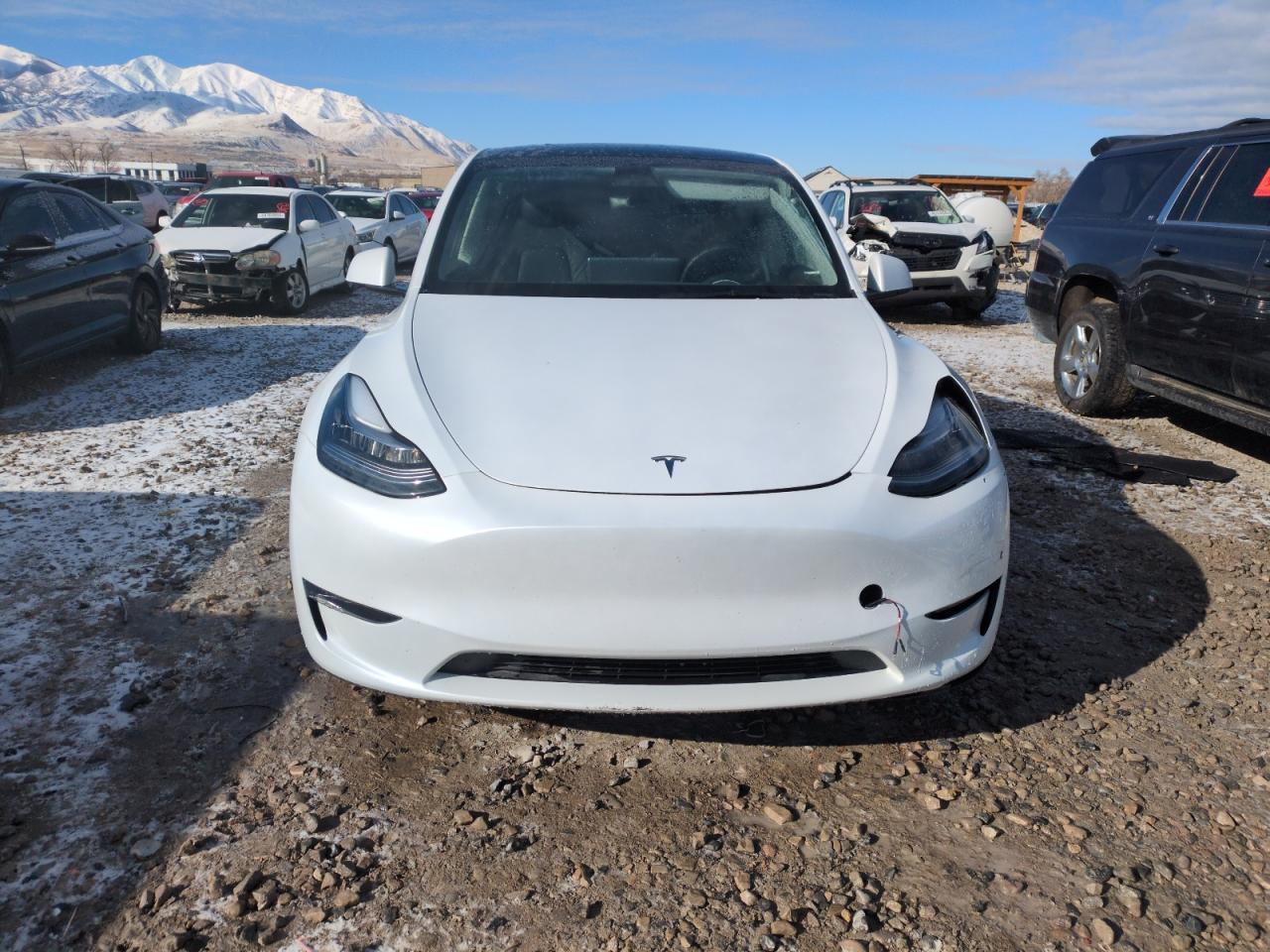 2023 TESLA MODEL Y  VIN:7SAYGDEE9PA129845