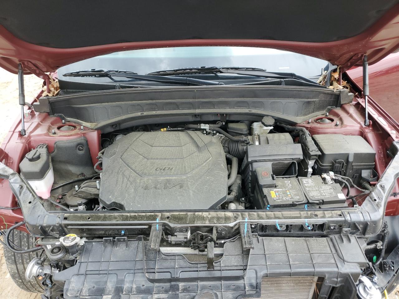2023 KIA TELLURIDE EX VIN:5XYP3DGCXPG349278