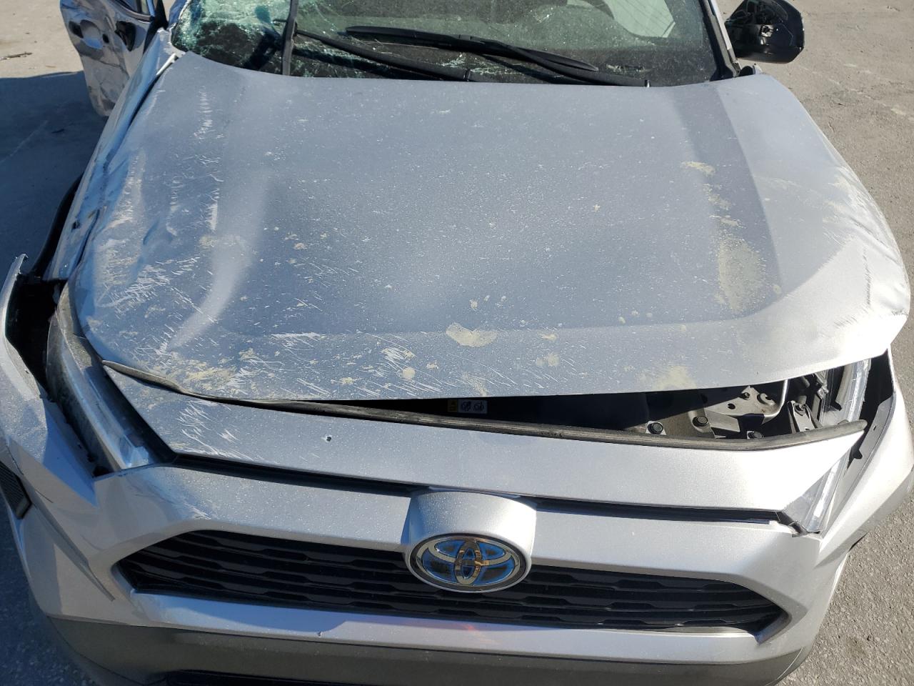 2024 TOYOTA RAV4 LE VIN:4T3LWRFV3RU128499