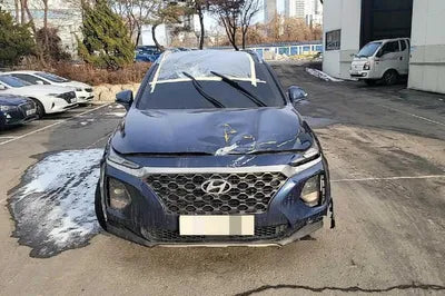 2018 Hyundai Santa FE KMHS381BBKU048278 VIN:KMHS381BBKU048278
