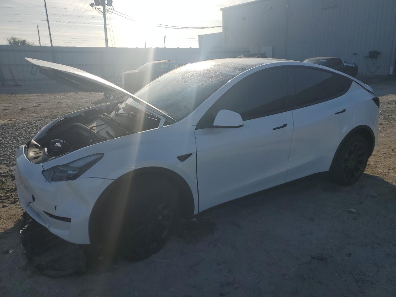 2024 TESLA MODEL Y  VIN:7SAYGDEE9RA268389