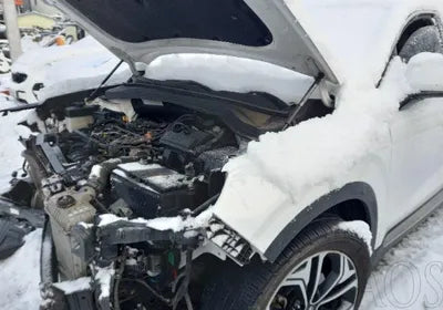 2019 Hyundai Santa FE KMHS381CBKU028156 VIN:KMHS381CBKU028156