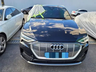 2020 Audi e-tron WAUZZZGE6LB040012 VIN:WAUZZZGE6LB040012