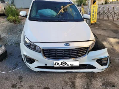 2019 Kia Carnival KNAME81ABKS493607 VIN:KNAME81ABKS493607