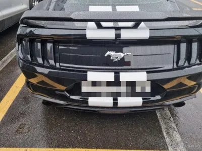 2019 Ford Mustang VIN:
