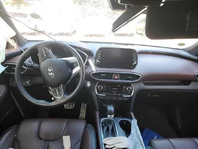 2019 Hyundai Santa FE KMHS381ADKU074587 VIN:KMHS381ADKU074587